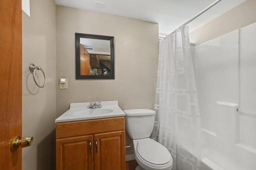 Lower level full bathroom