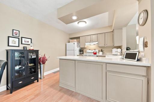 303 Elan Court, Woodbury, MN 55125