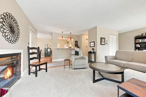 303 Elan Court, Woodbury, MN 55125