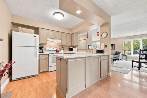 303 Elan Court, Woodbury, MN 55125