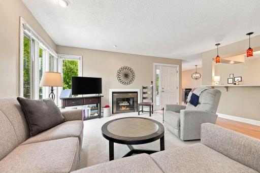 303 Elan Court, Woodbury, MN 55125