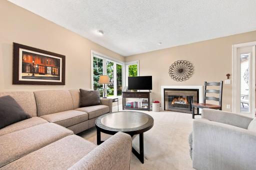 303 Elan Court, Woodbury, MN 55125
