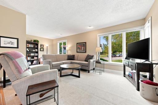 303 Elan Court, Woodbury, MN 55125