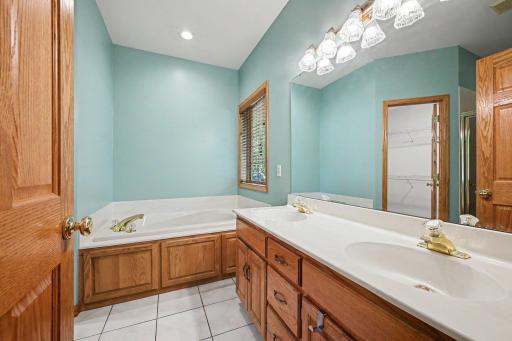 Primary bathroom with dual sinks, soaking tub, separate shower, and walk-in closet access.