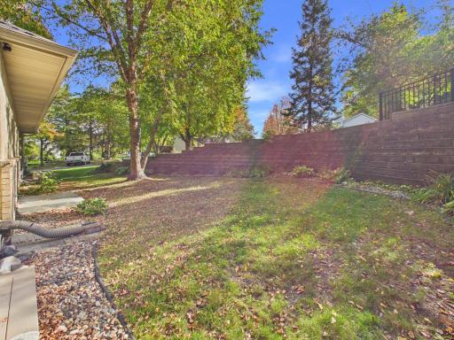 Private backyard setting framed by mature trees and natural green space.
