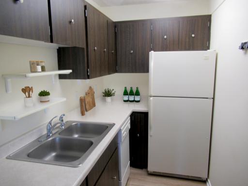 Kitchen (VS).jpg