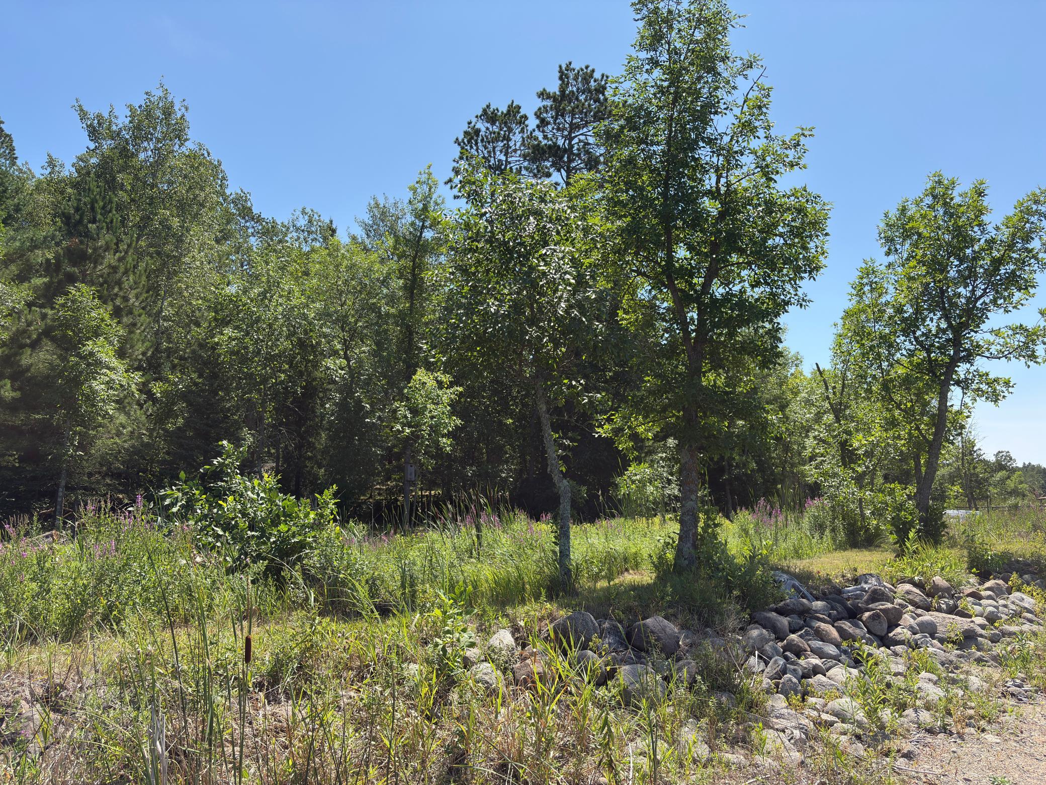 Photo 42