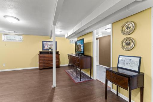 Lower Level Flex Room