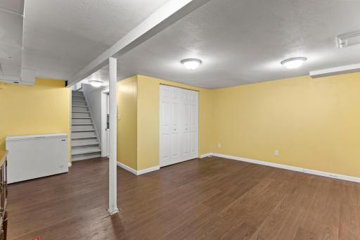 Lower Level Built In Closet