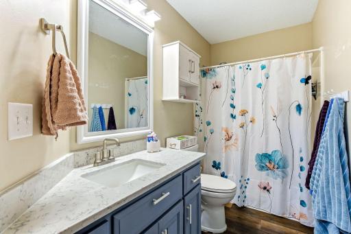 Lower Level Bath