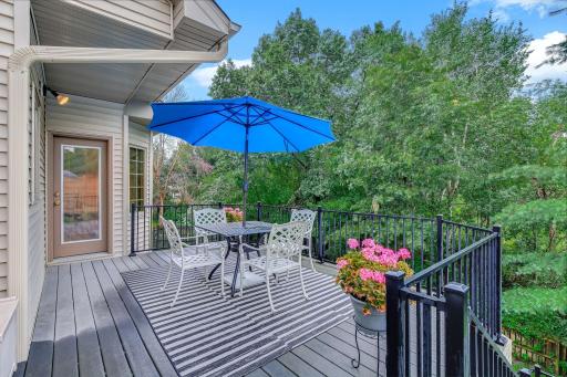 View of Private Backyard