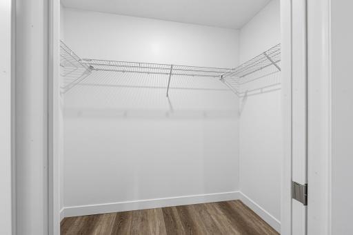 The primary bedroom features a spacious walk-in closet.
