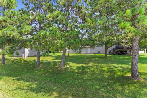 705 N Estates Avenue, Litchfield, MN 55355