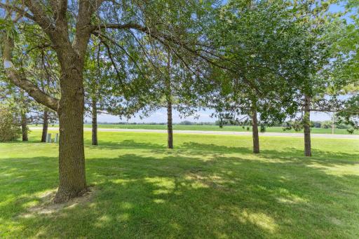 705 N Estates Avenue, Litchfield, MN 55355