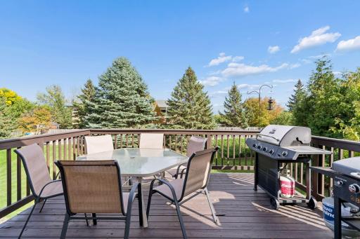 17308 Glencoe Avenue, Lakeville, MN 55044