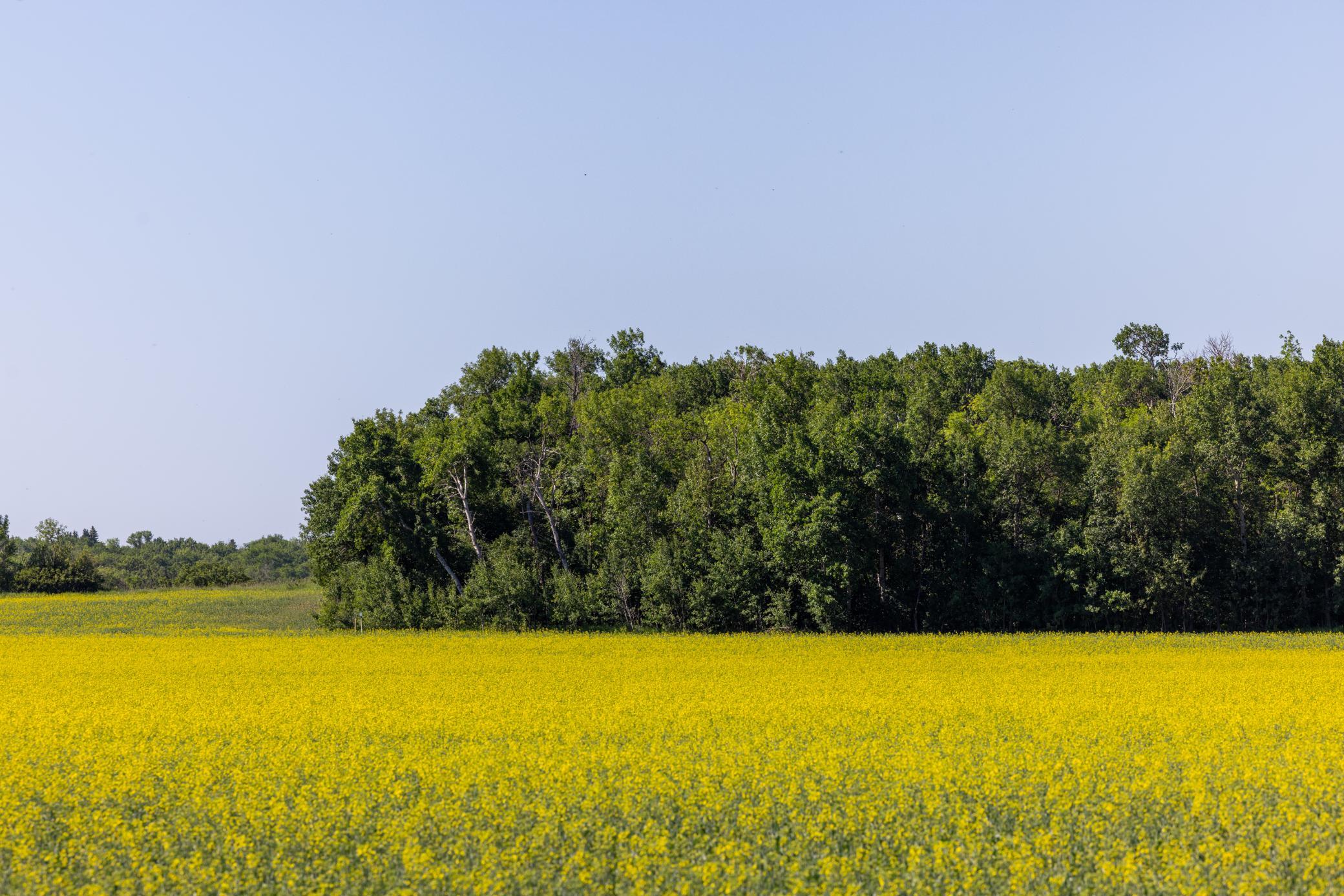 Amdak__Kamrud Land_0002.jpg