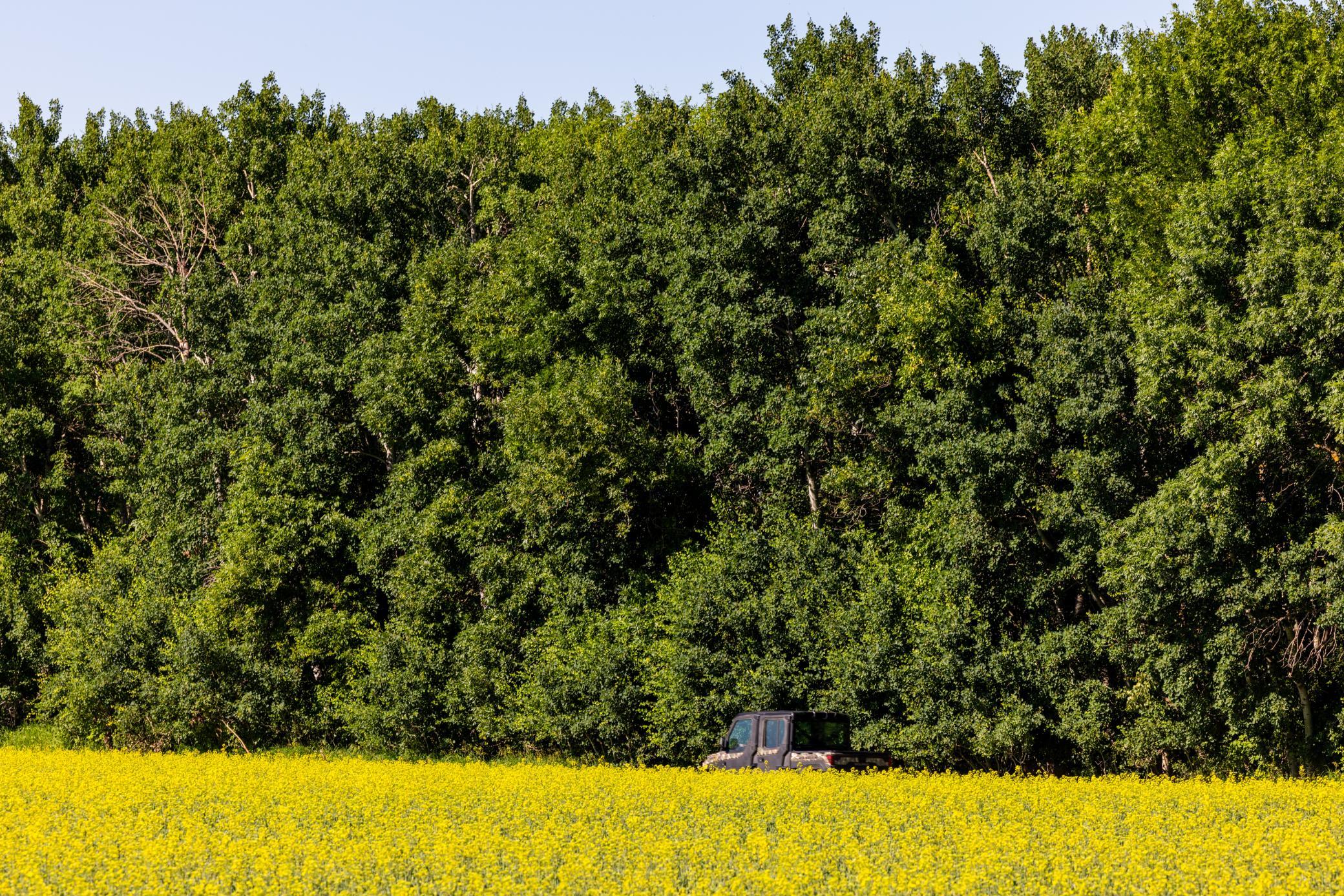 Amdak__Kamrud Land_0001.jpg