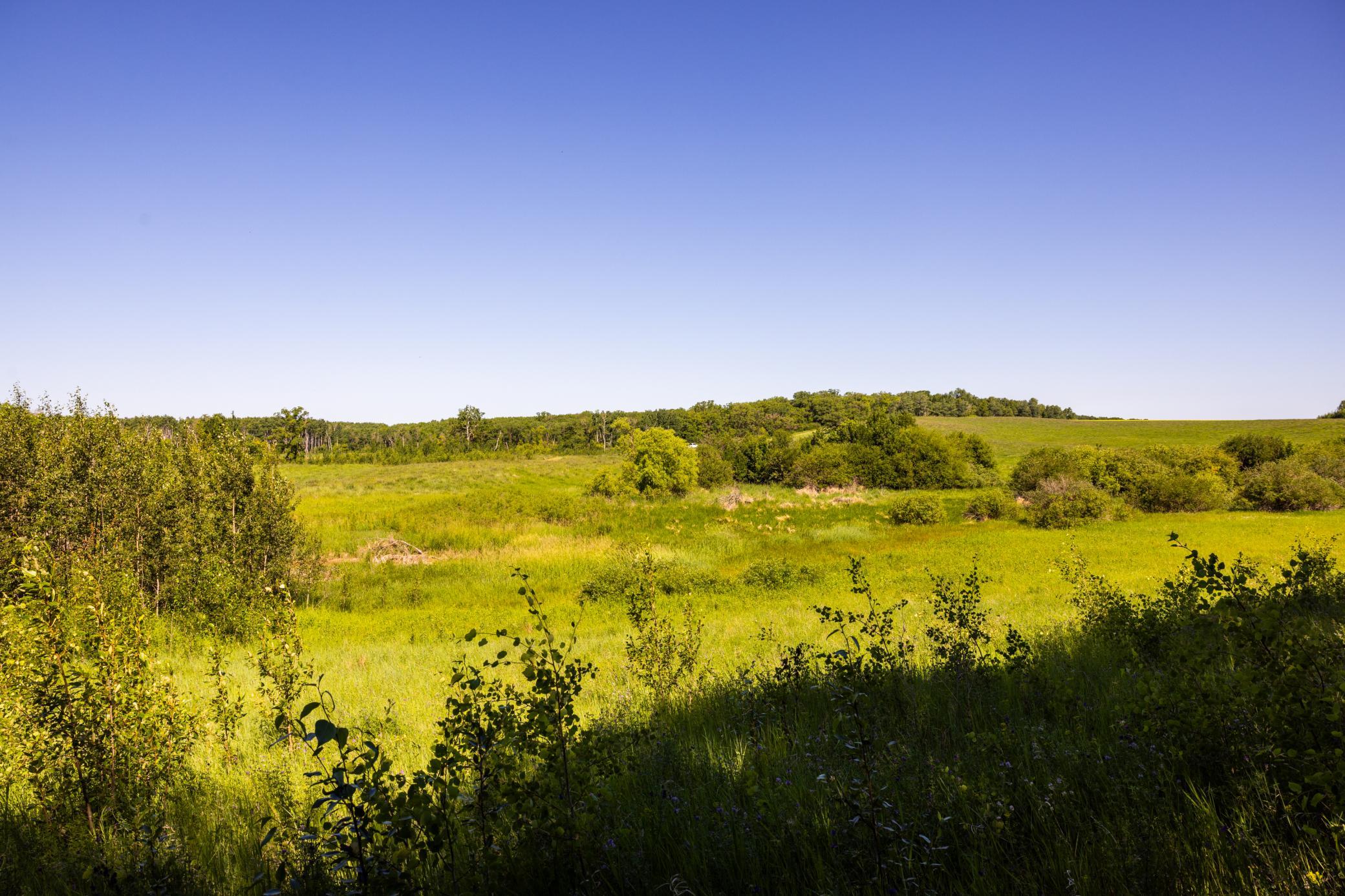 Amdak__Kamrud Land_0069.jpg