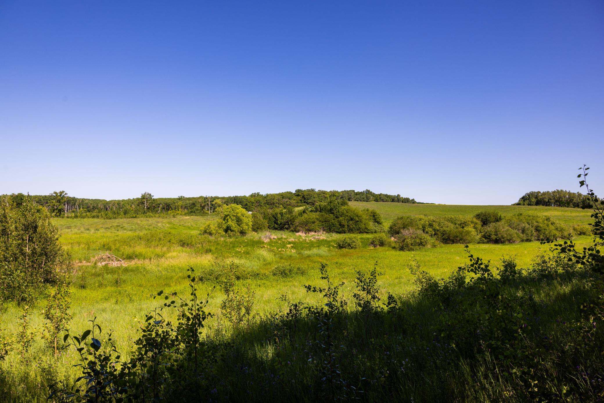 Amdak__Kamrud Land_0067.jpg