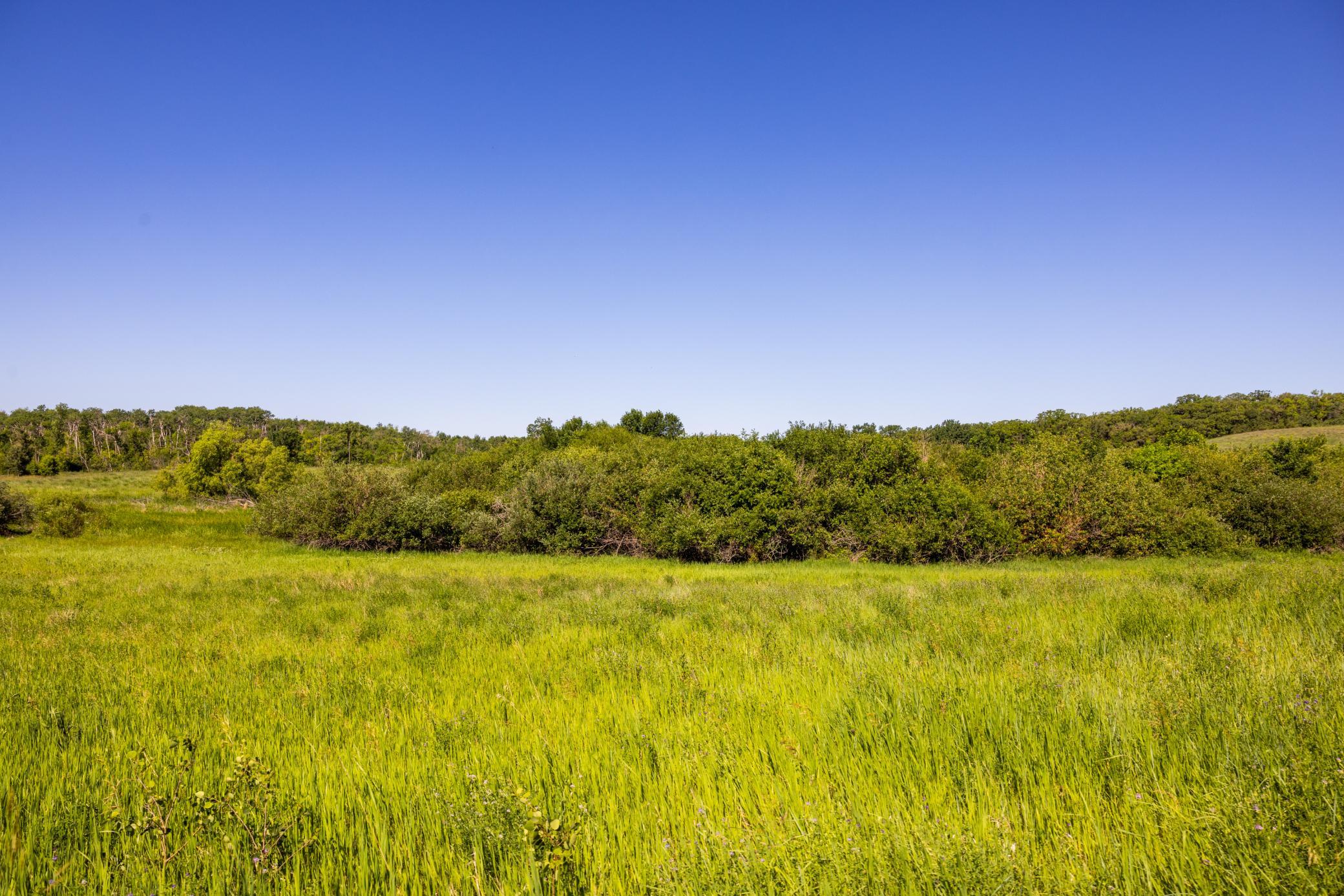 Amdak__Kamrud Land_0066.jpg
