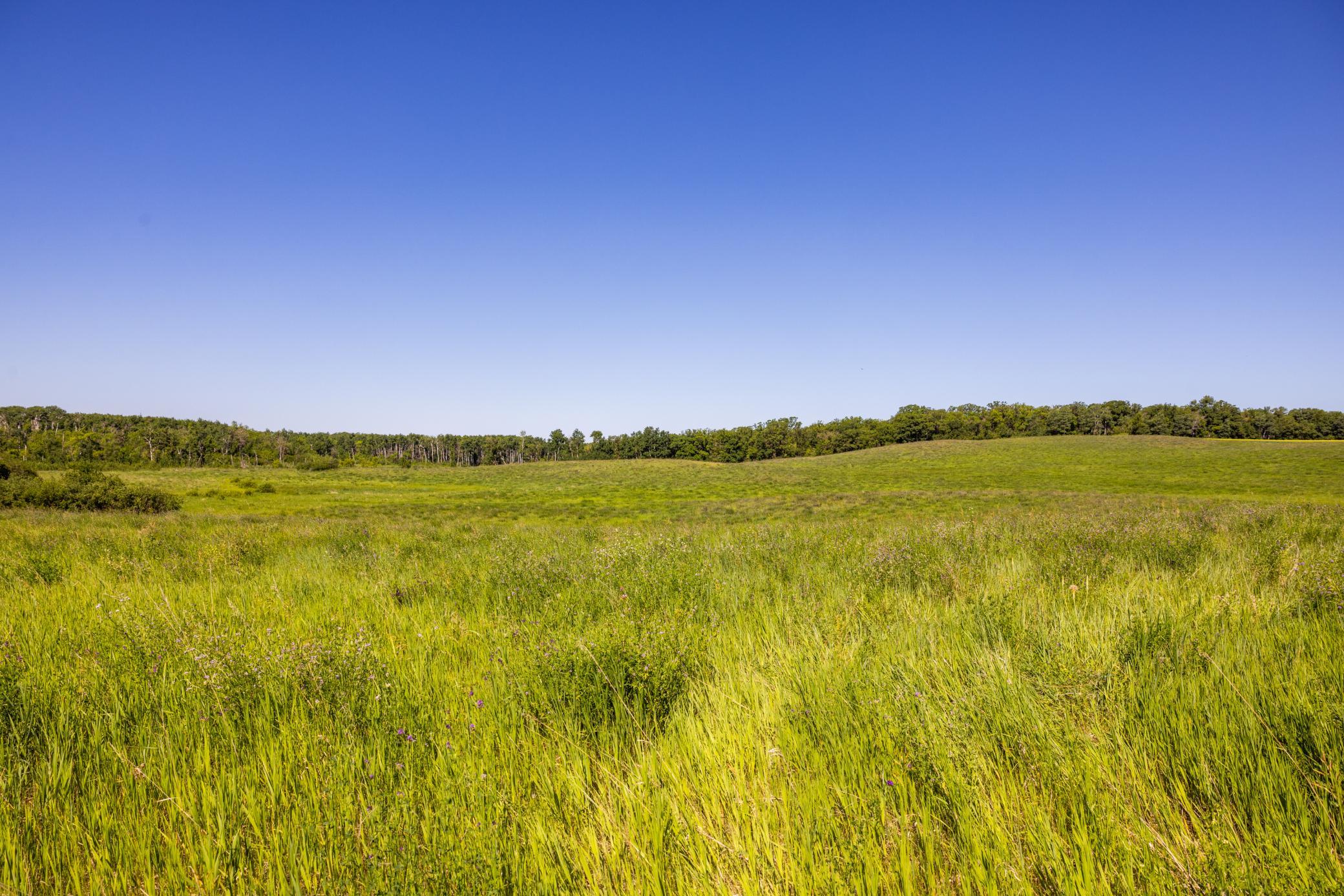 Amdak__Kamrud Land_0065.jpg