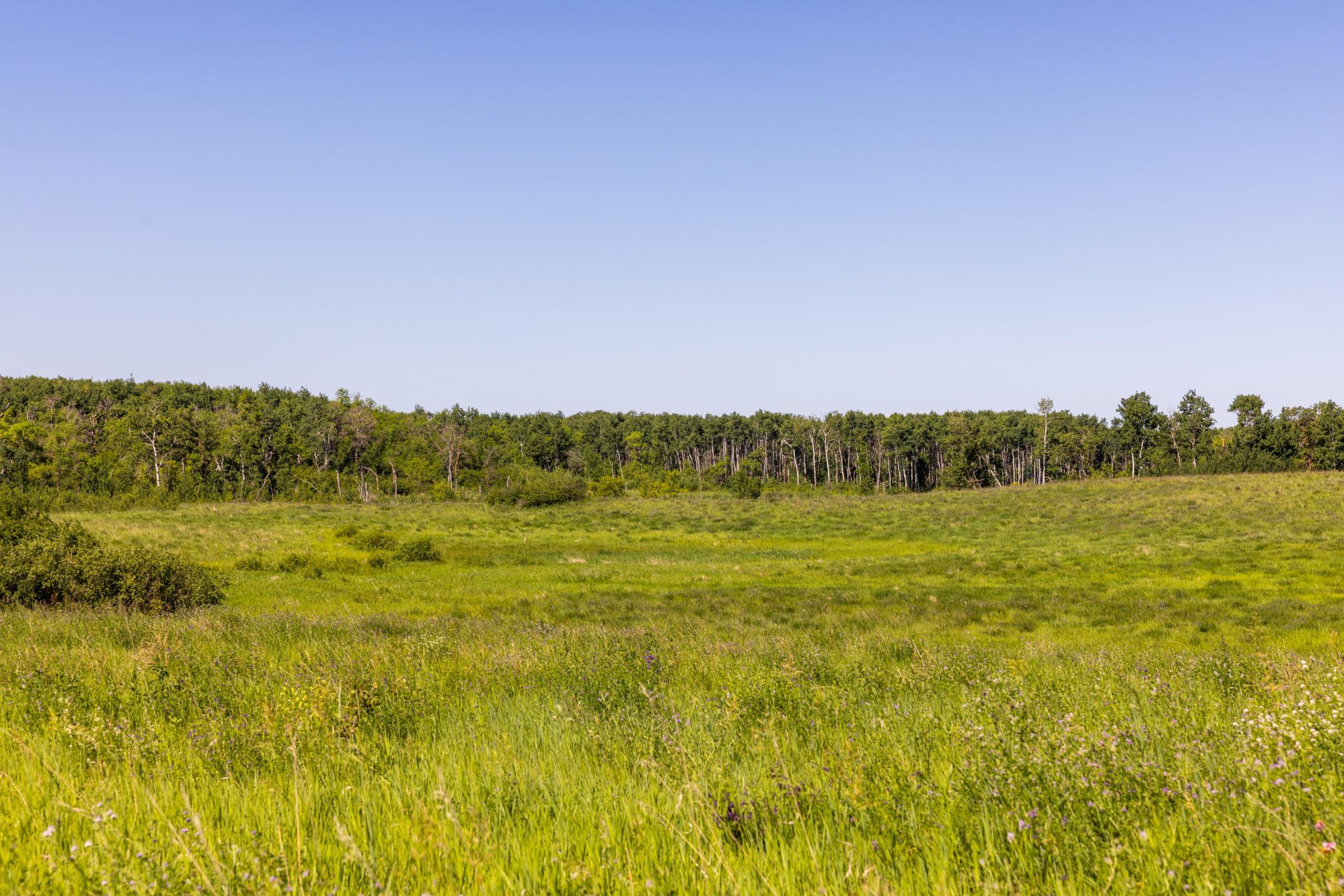 Amdak__Kamrud Land_0064.jpg