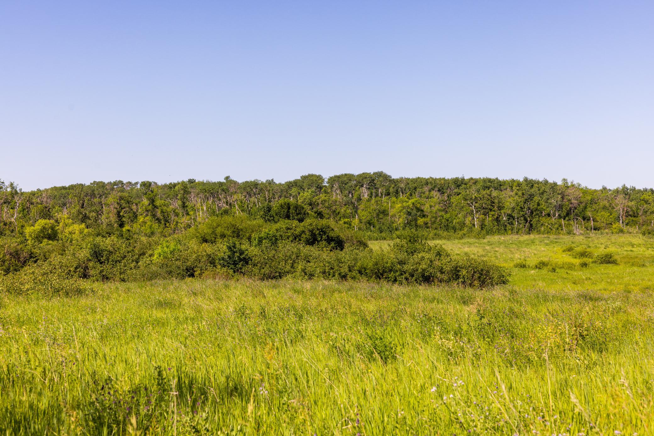 Amdak__Kamrud Land_0063.jpg