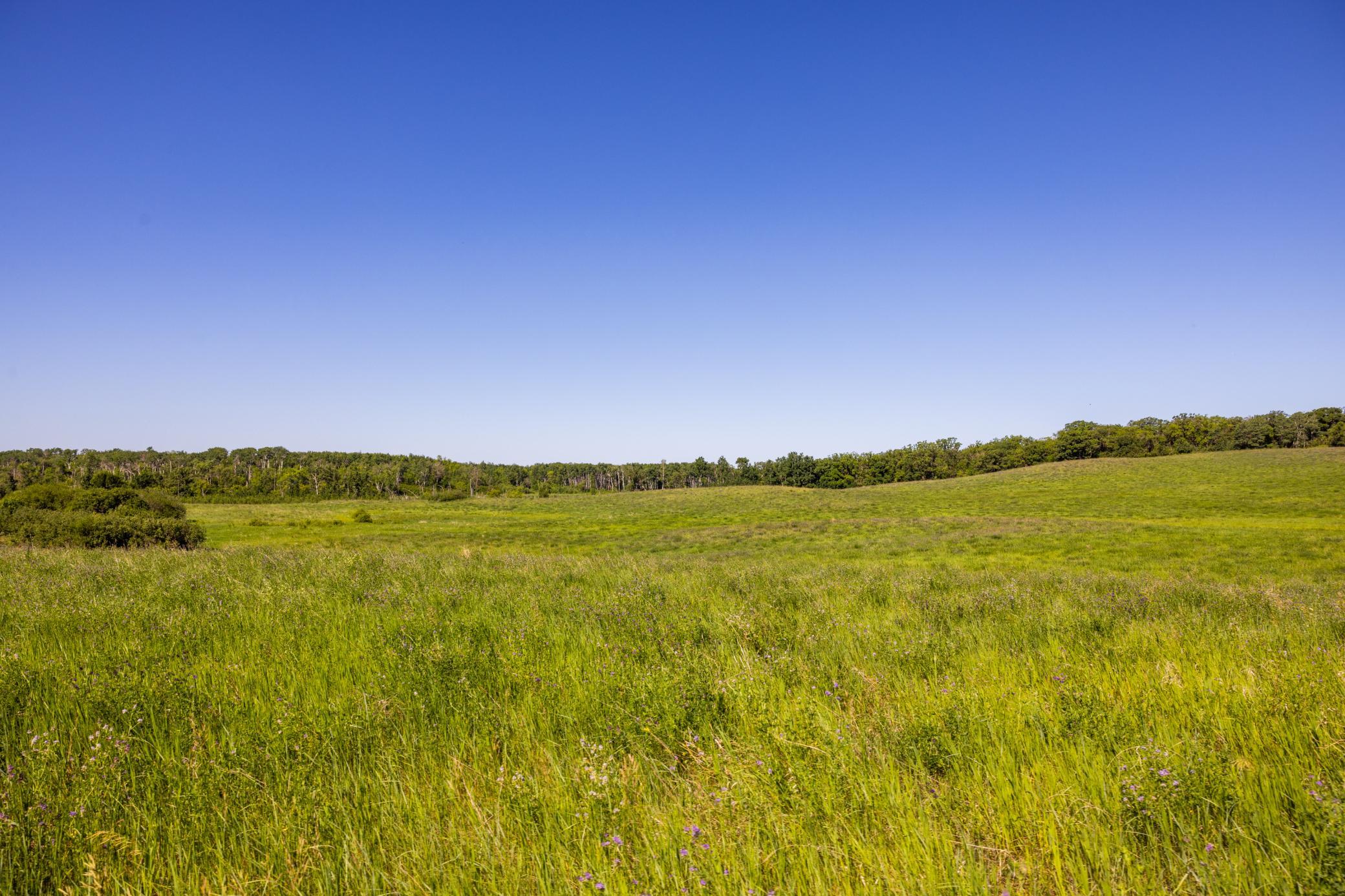 Amdak__Kamrud Land_0062.jpg