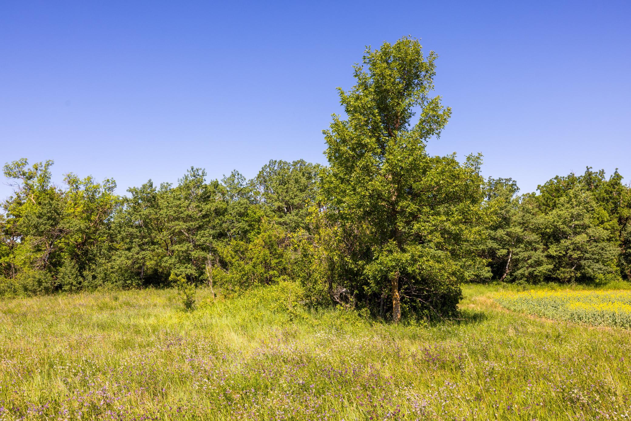 Amdak__Kamrud Land_0061.jpg