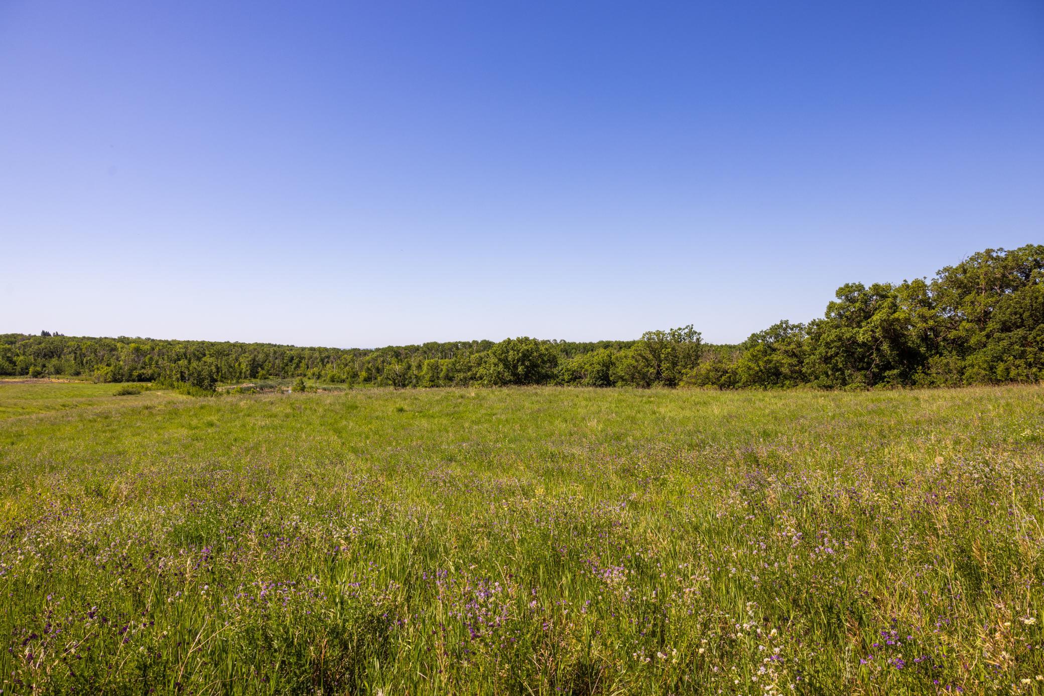 Amdak__Kamrud Land_0060.jpg