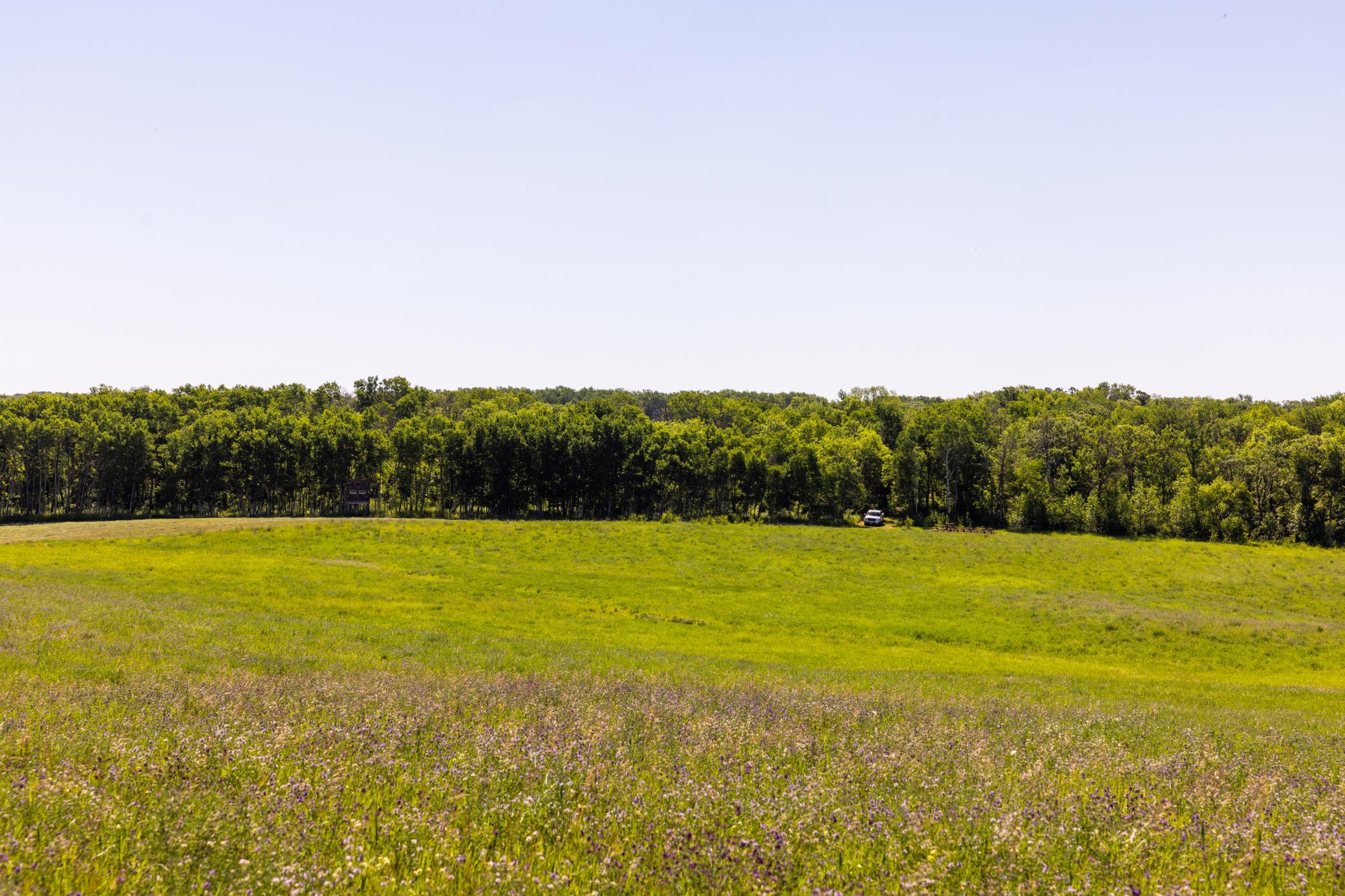 Amdak__Kamrud Land_0059.jpg