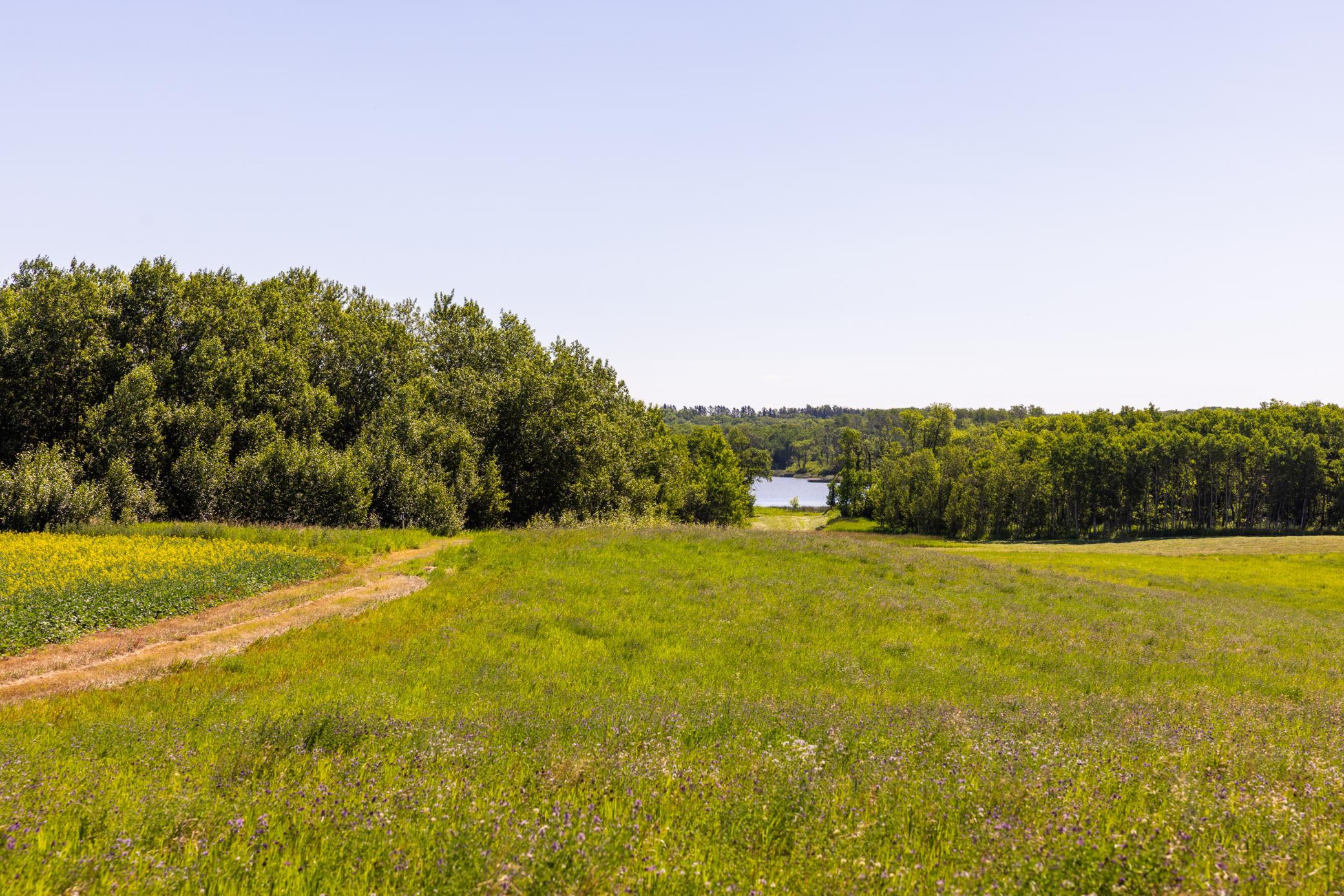 Amdak__Kamrud Land_0058.jpg