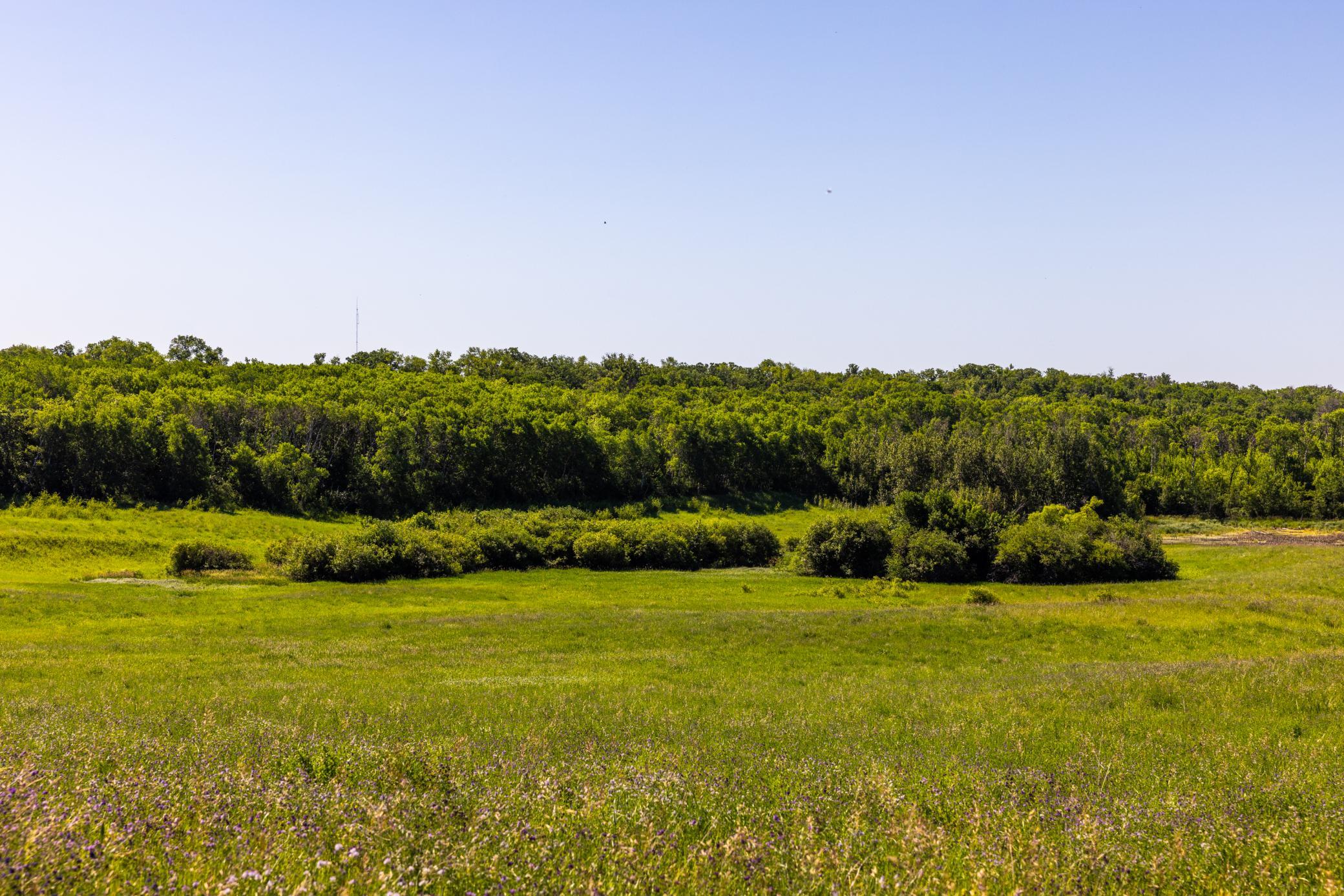 Amdak__Kamrud Land_0057.jpg