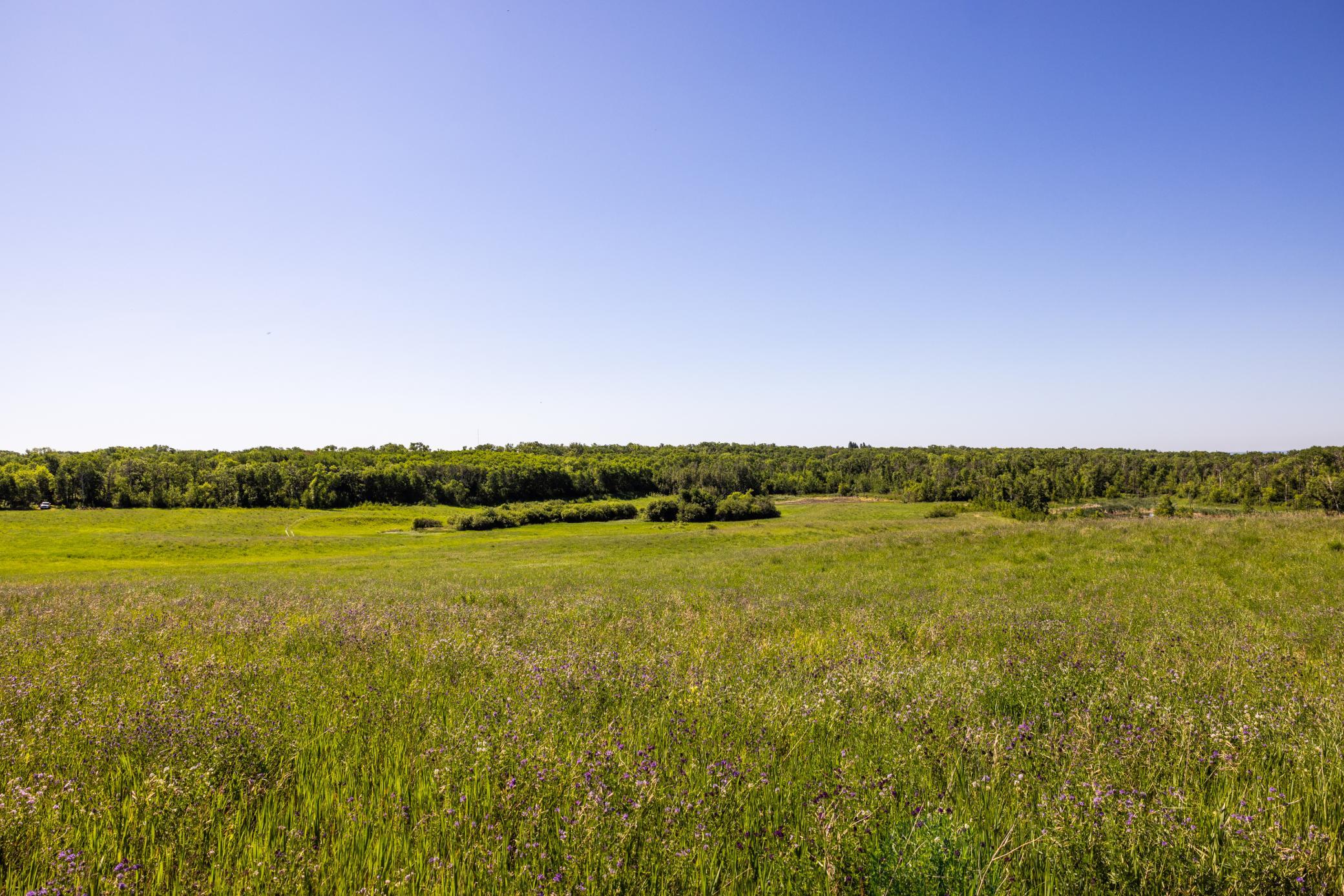 Amdak__Kamrud Land_0056.jpg