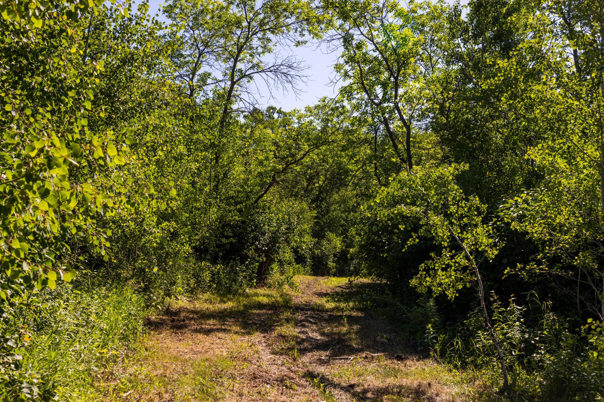 Amdak__Kamrud Land_0054.jpg