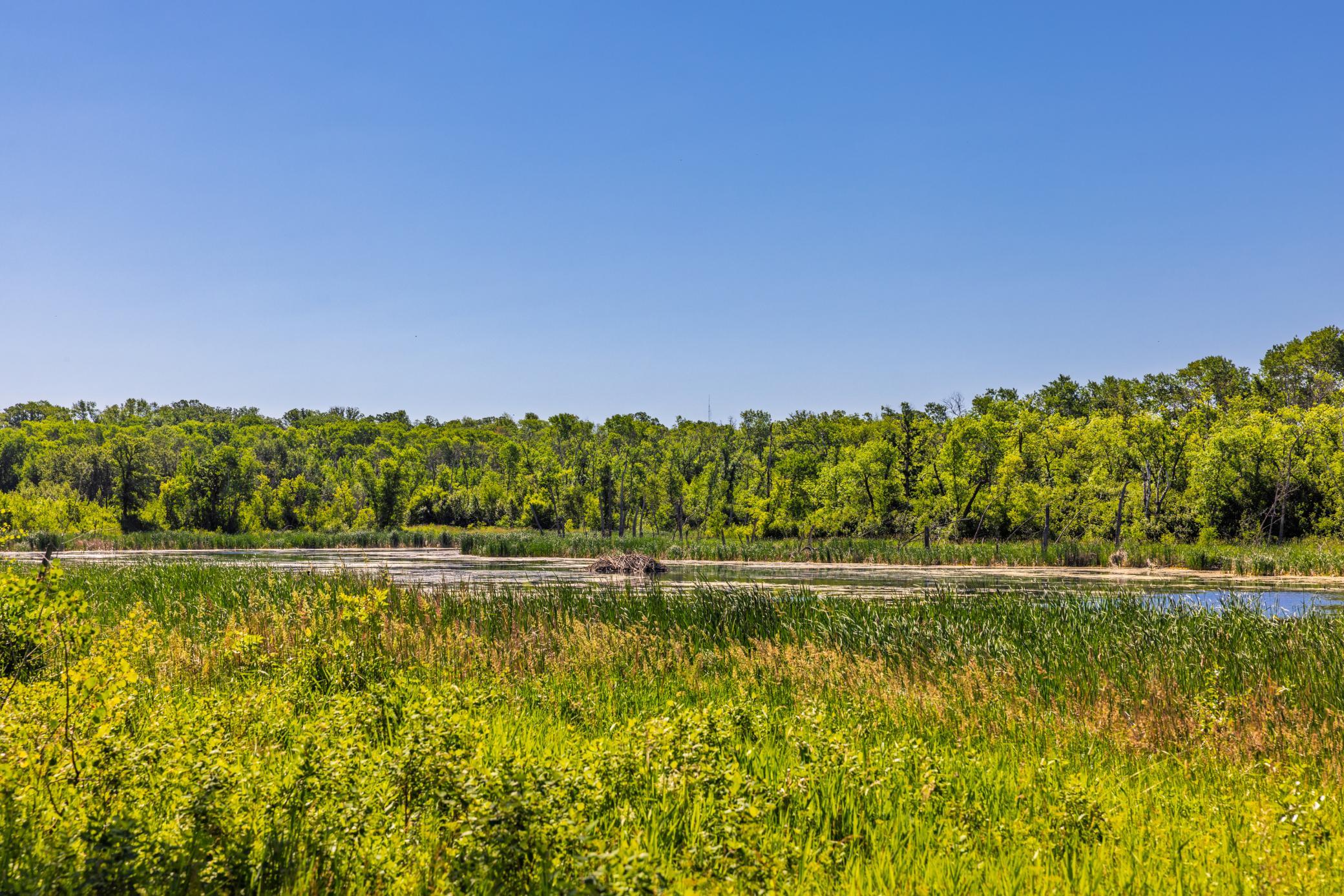 Amdak__Kamrud Land_0053.jpg