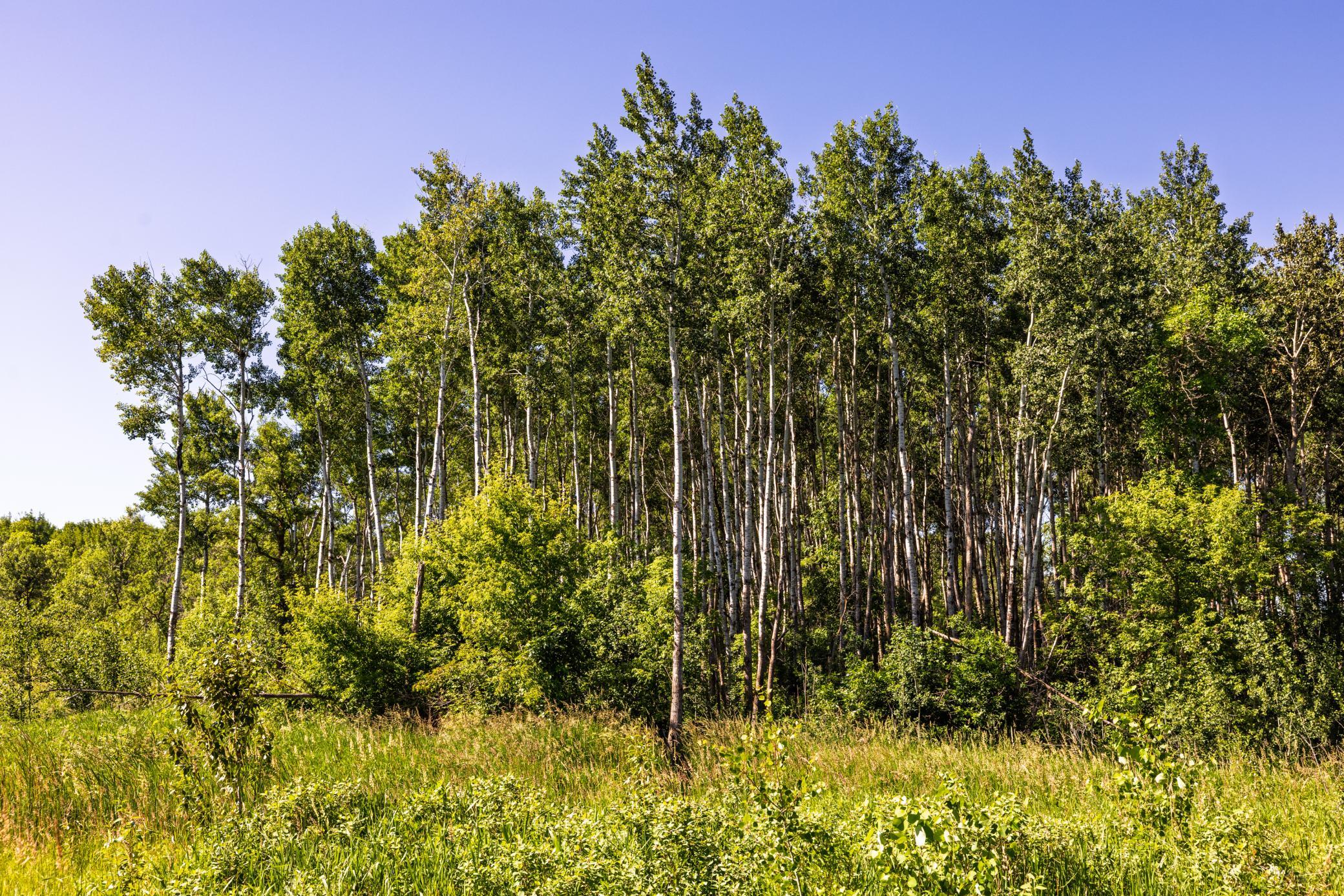 Amdak__Kamrud Land_0052.jpg