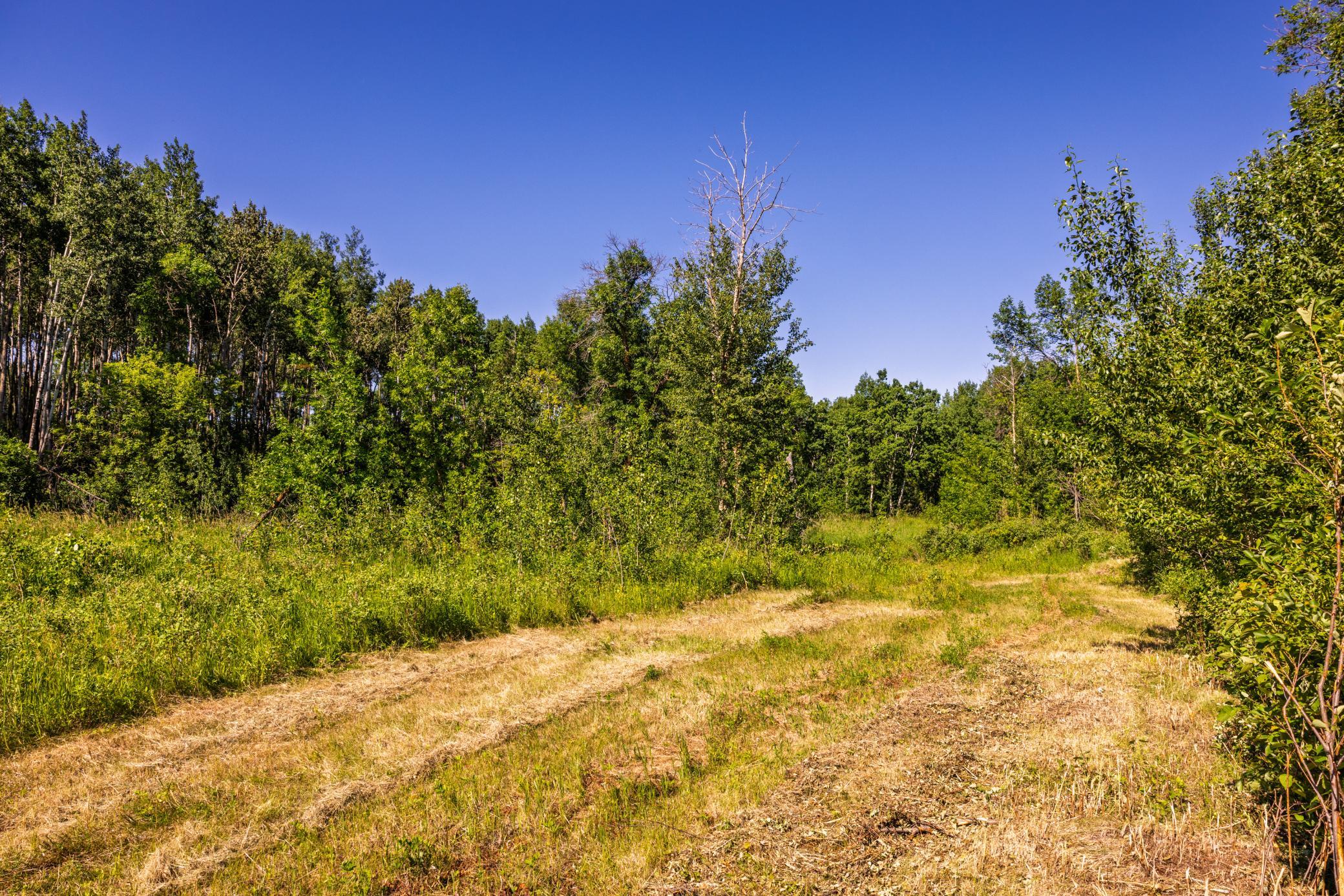 Amdak__Kamrud Land_0051.jpg