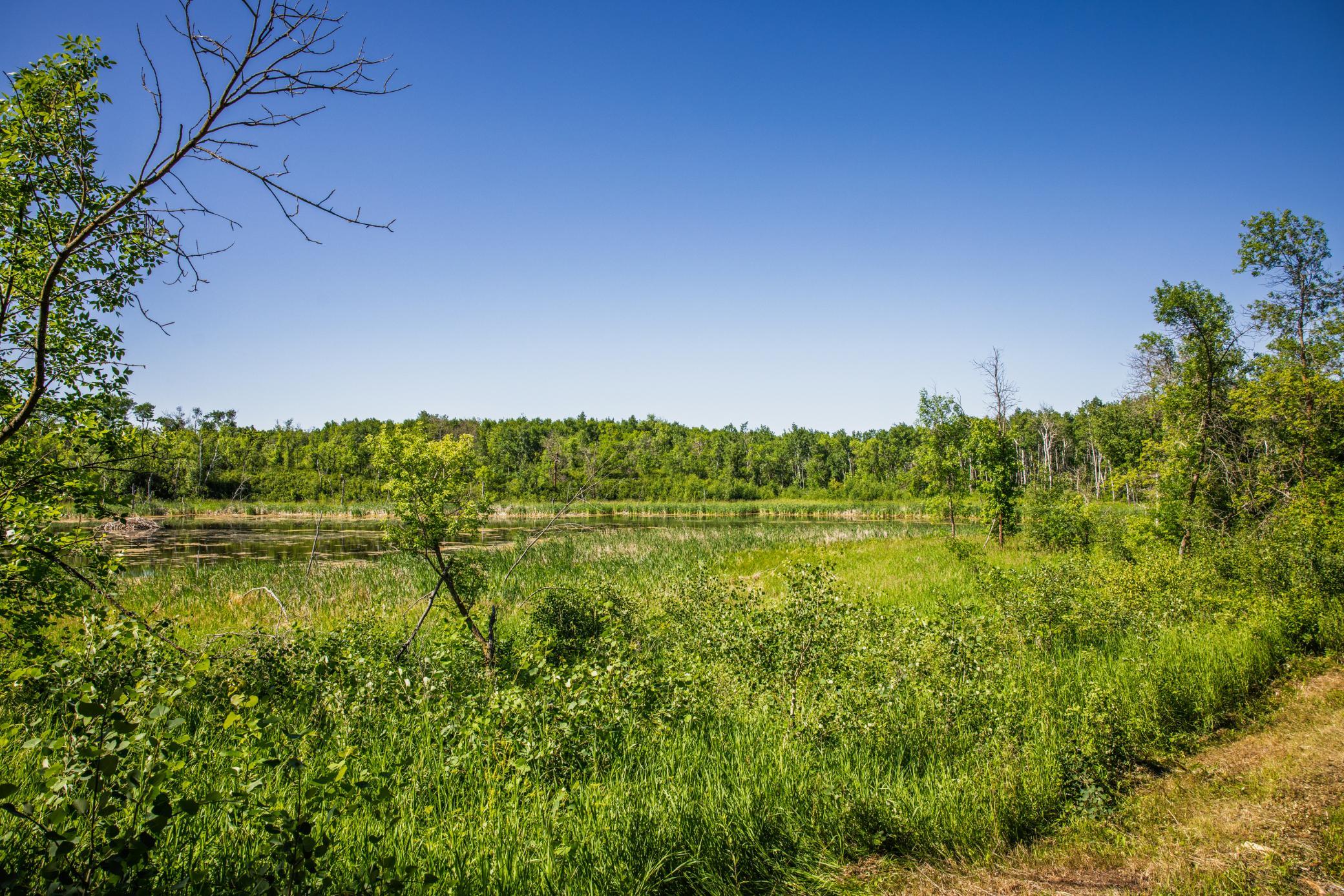 Amdak__Kamrud Land_0048.jpg