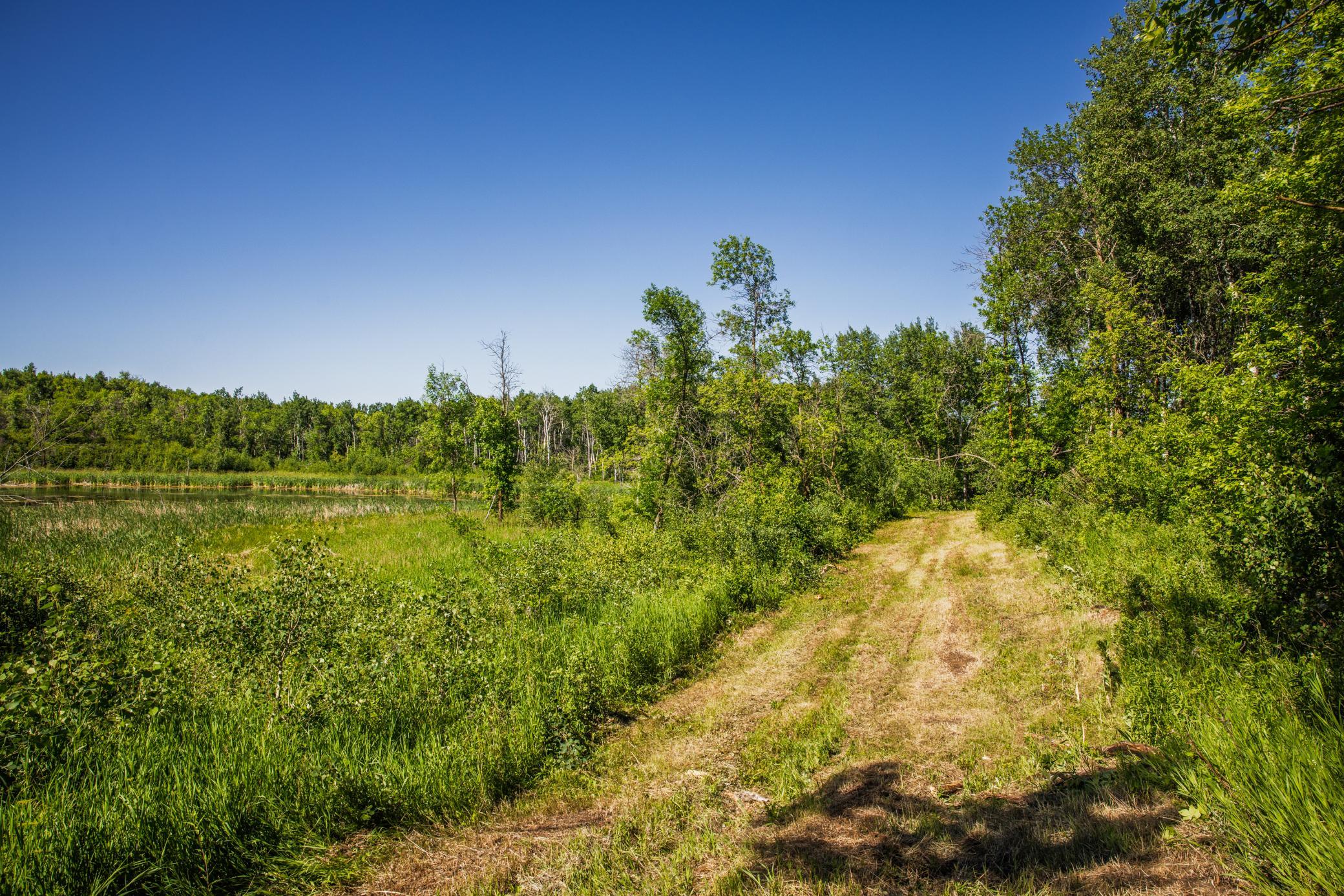 Amdak__Kamrud Land_0047.jpg