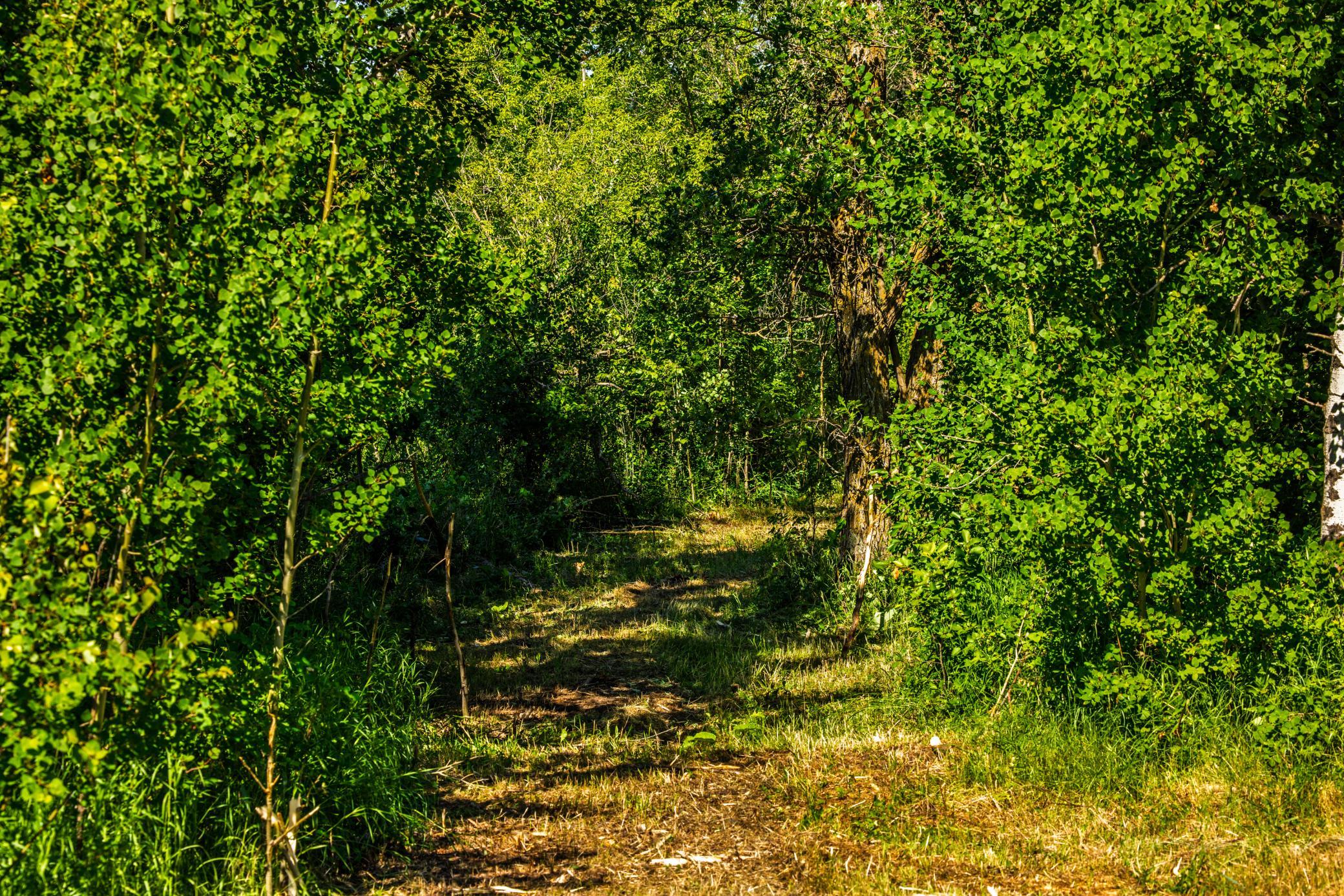 Amdak__Kamrud Land_0046.jpg