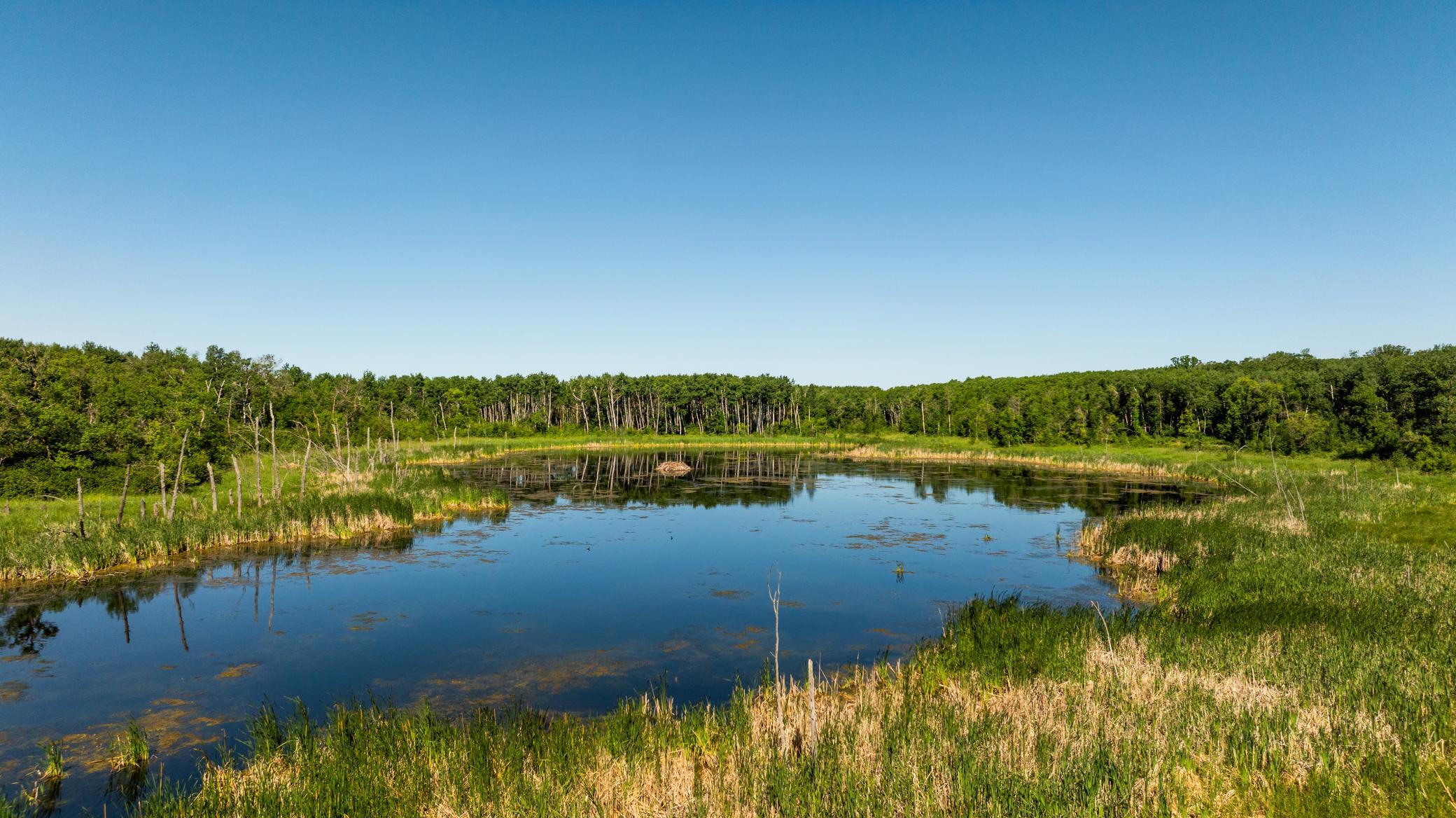 Amdak__Kamrud Land_0041.jpg
