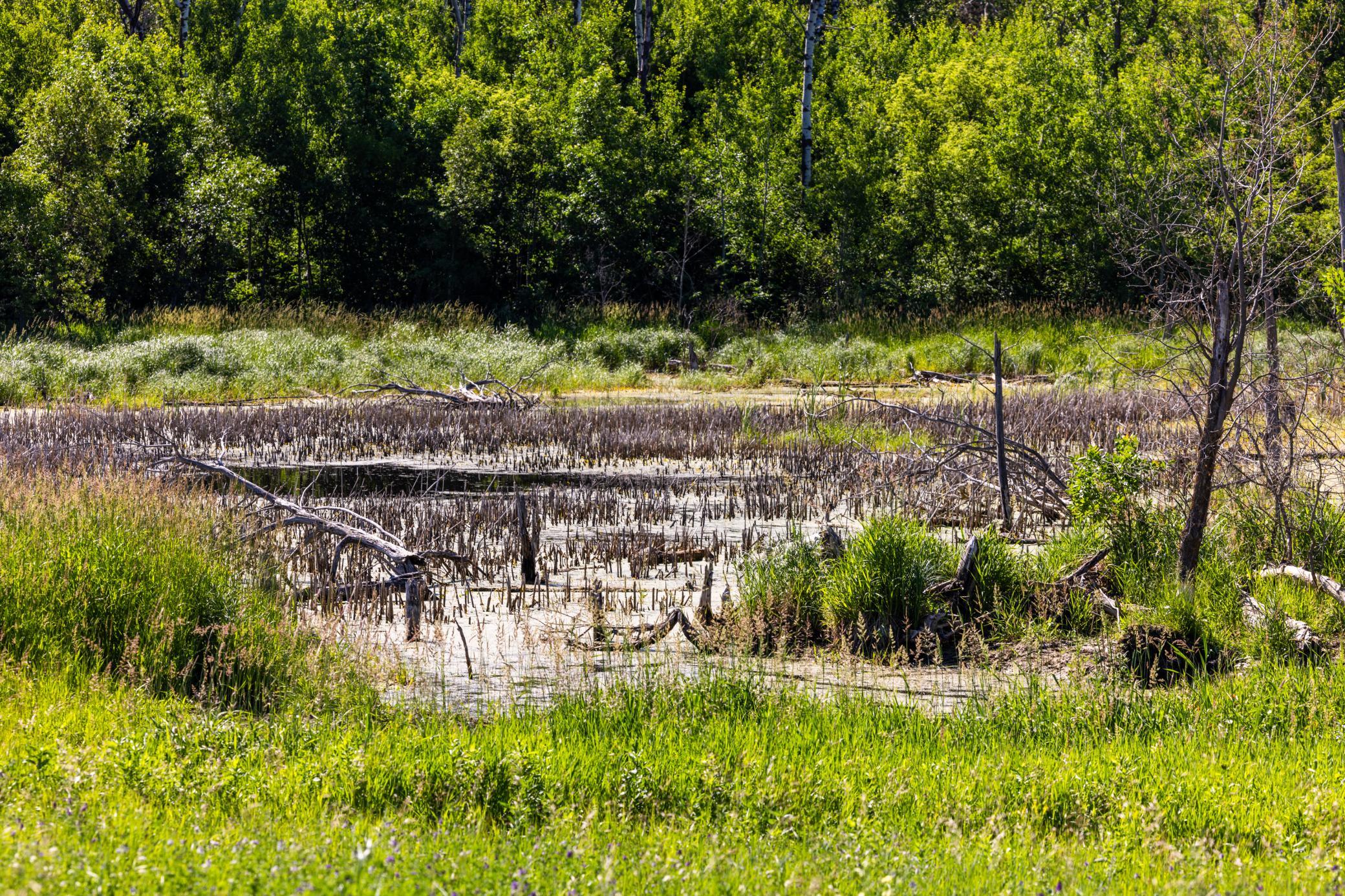 Amdak__Kamrud Land_0040.jpg