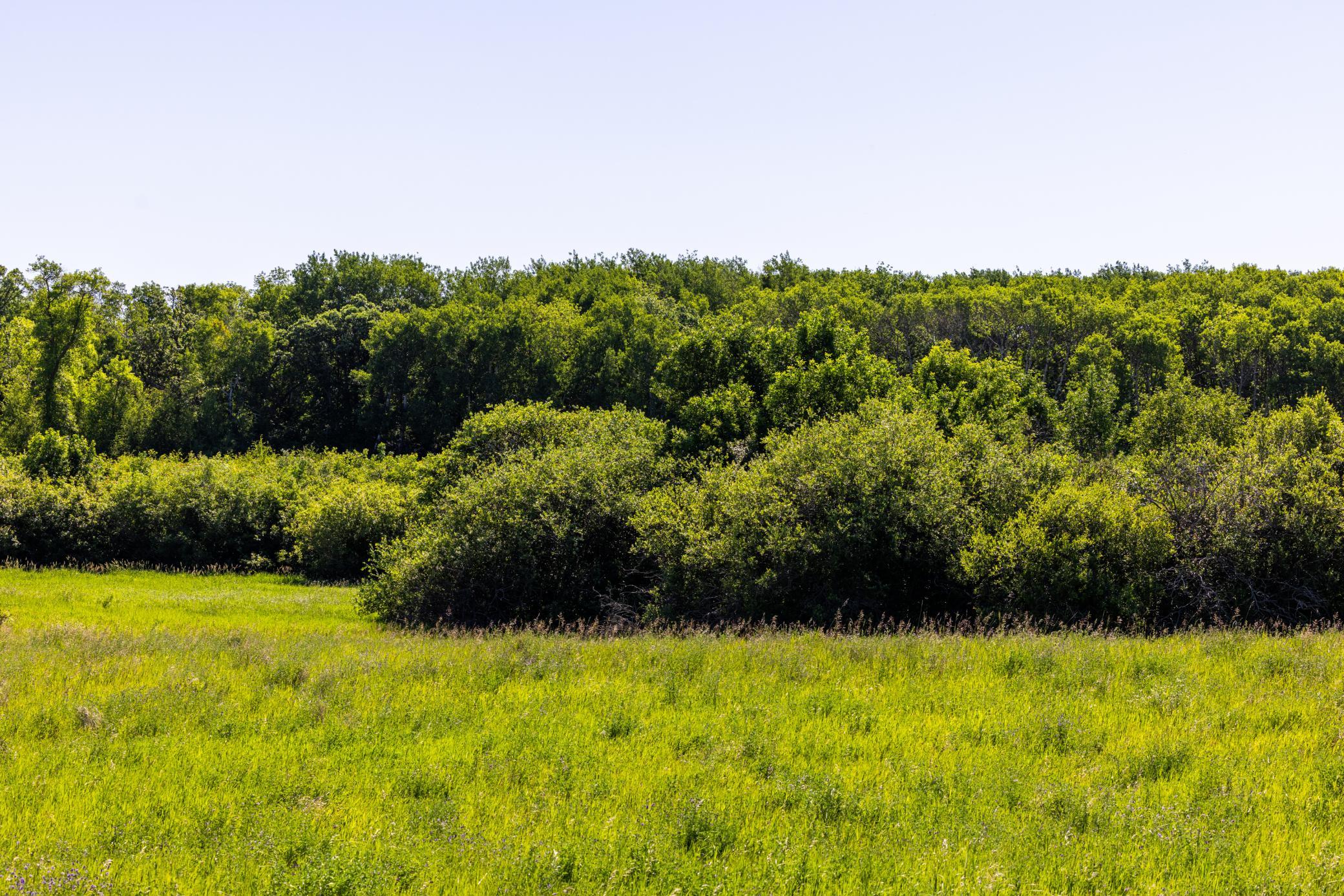 Amdak__Kamrud Land_0039.jpg