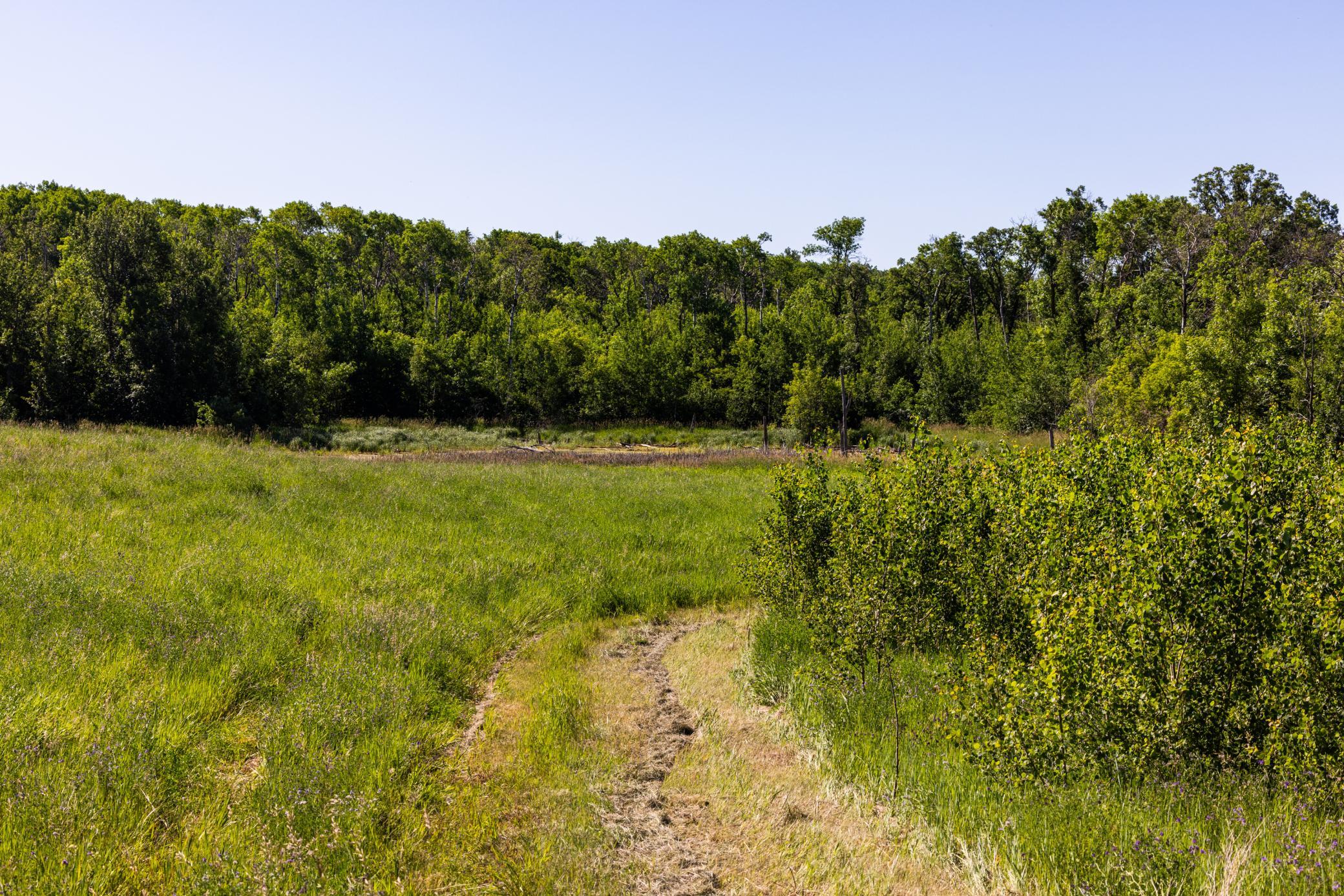 Amdak__Kamrud Land_0038.jpg