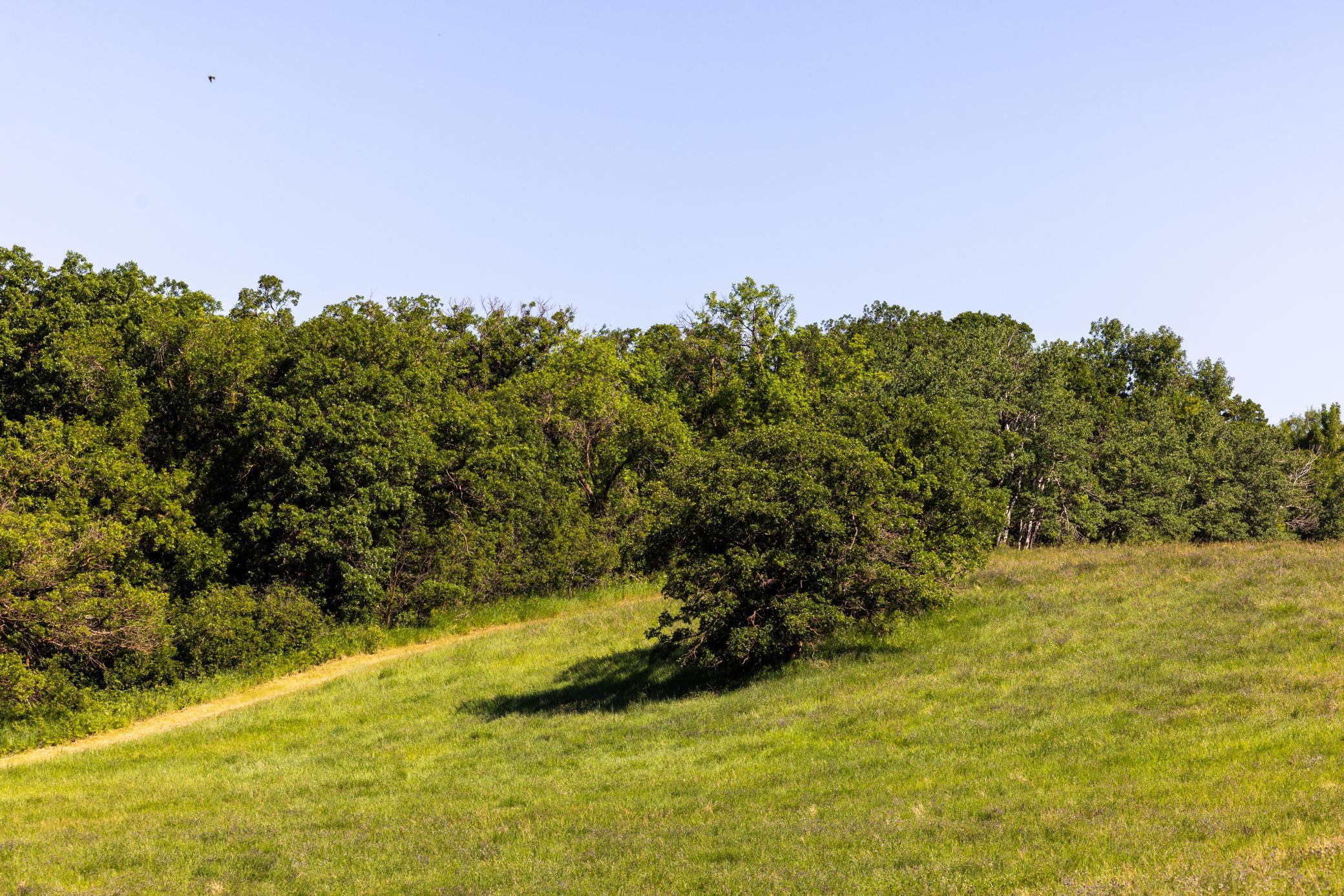 Amdak__Kamrud Land_0037.jpg