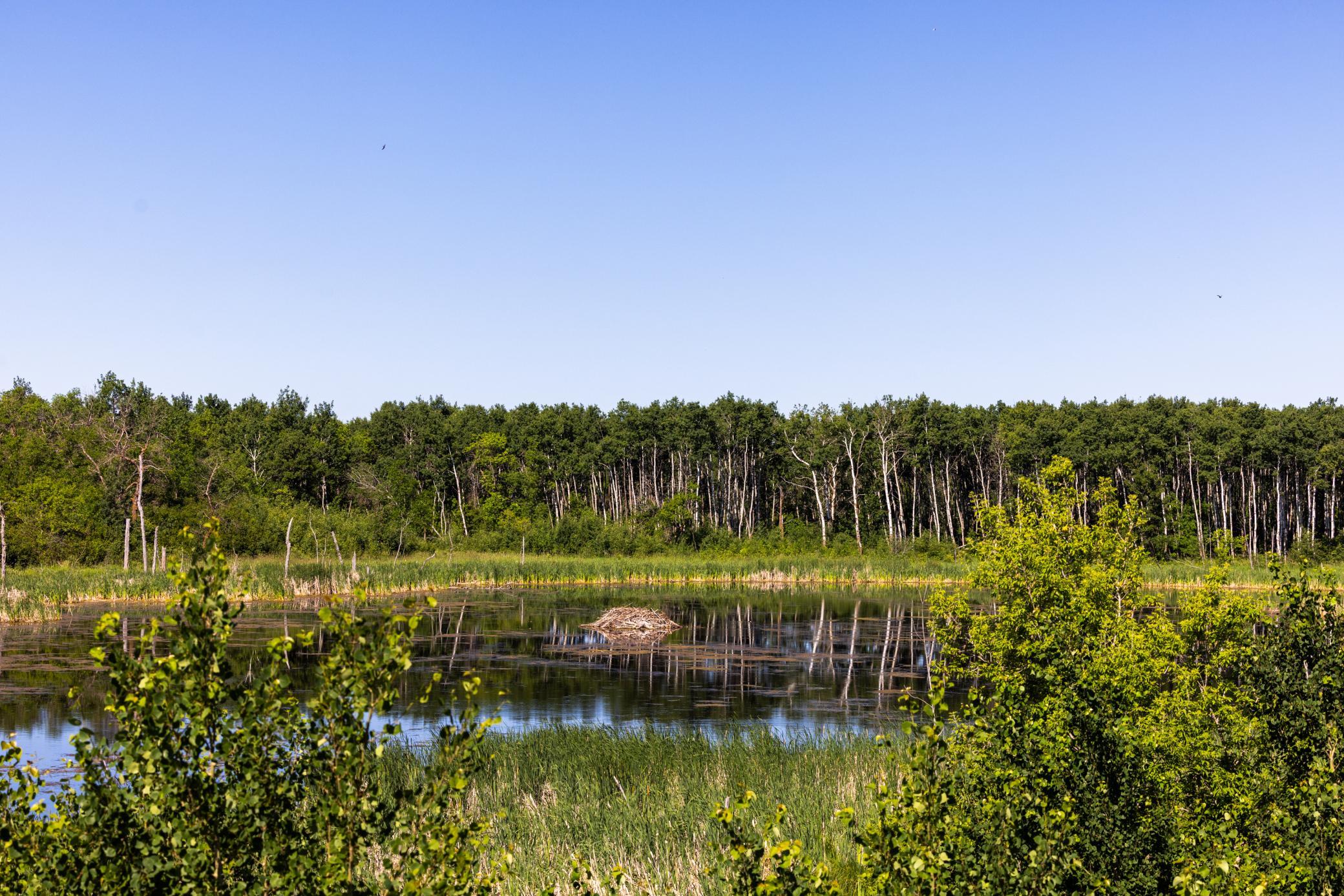 Amdak__Kamrud Land_0036.jpg
