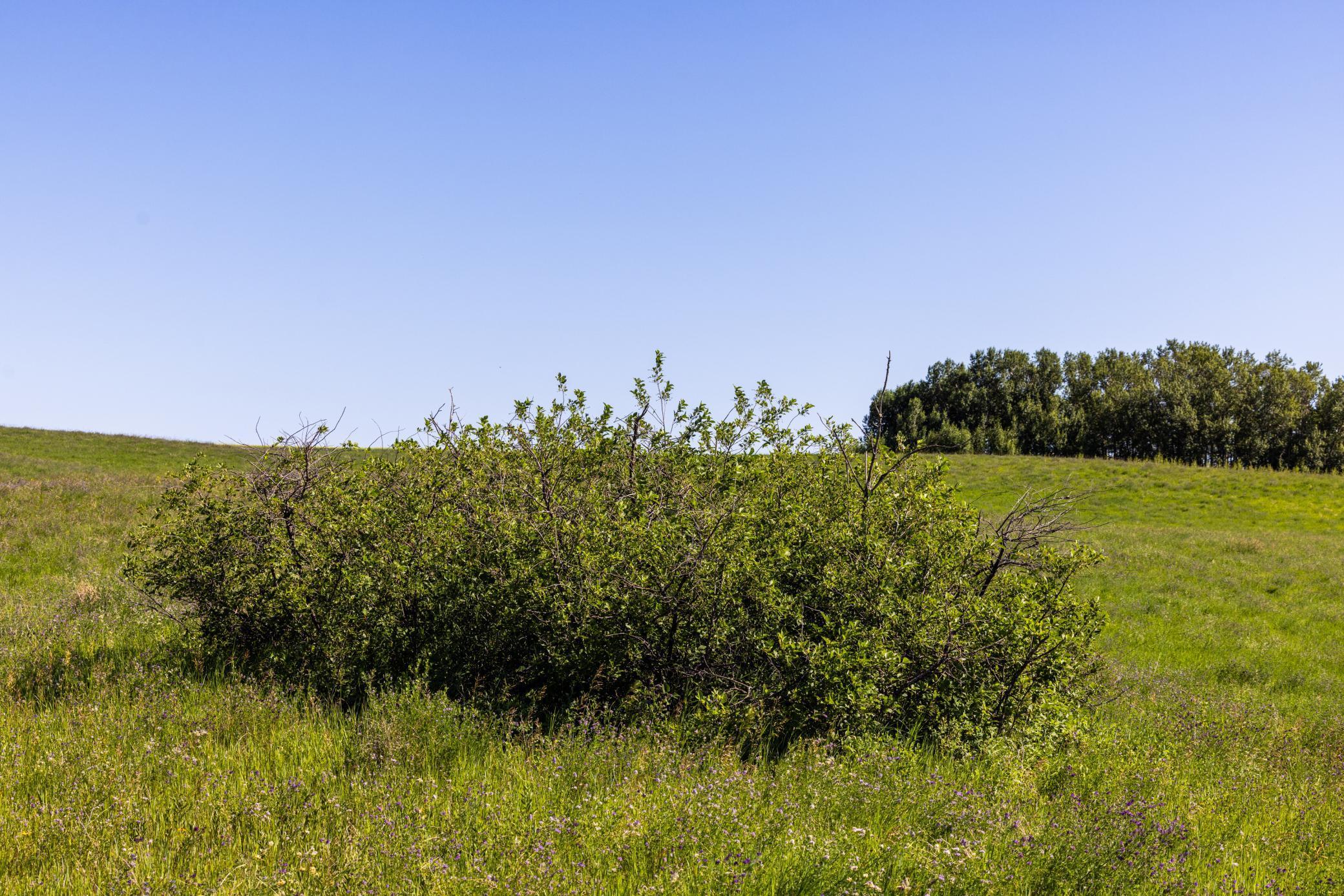 Amdak__Kamrud Land_0033.jpg