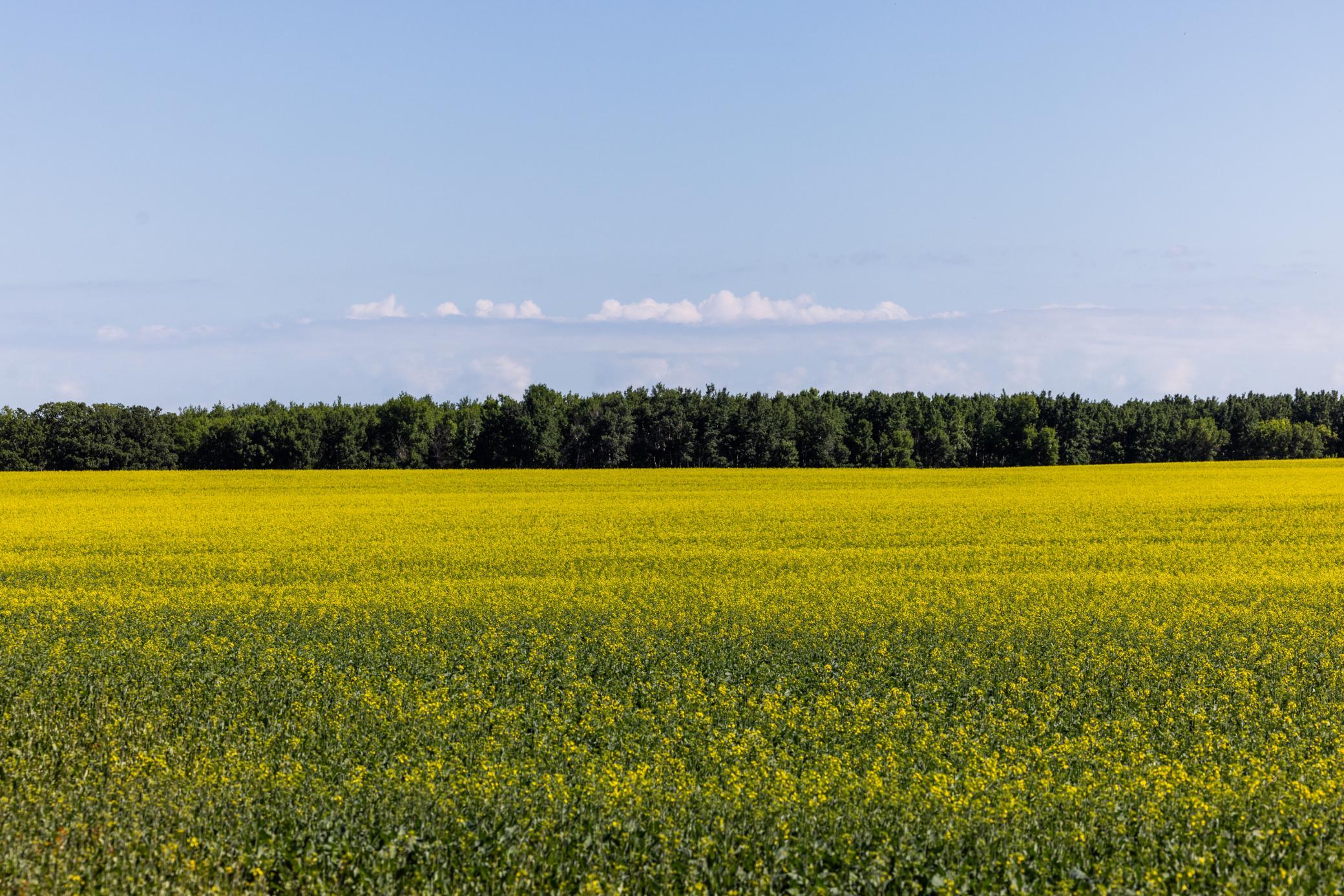 Amdak__Kamrud Land_0032.jpg