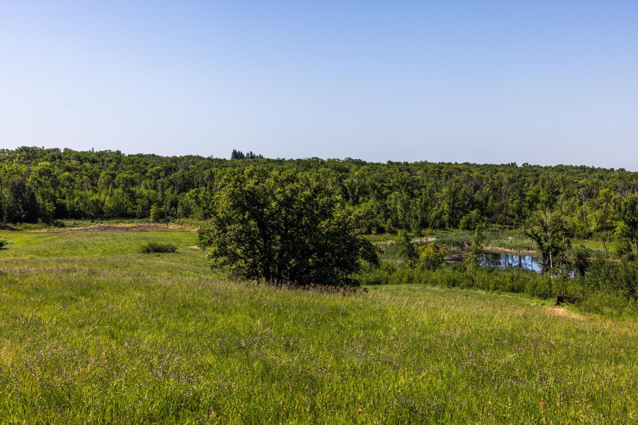 Amdak__Kamrud Land_0028.jpg